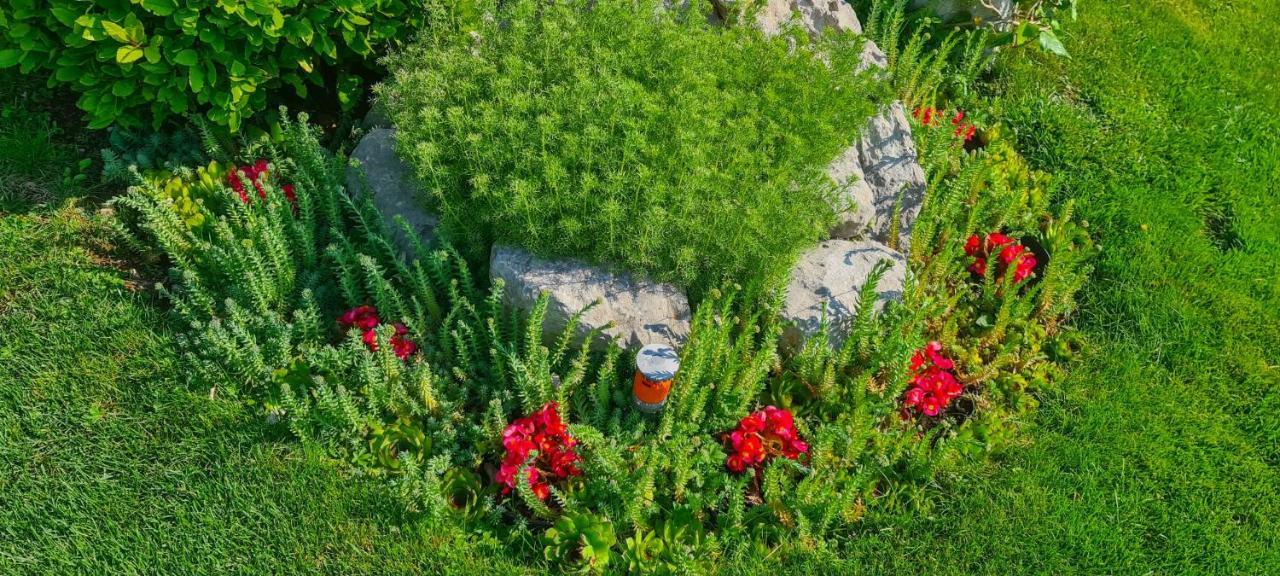 Apartments Villa Krasa Lovran Zewnętrze zdjęcie